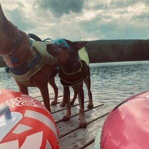 Meet your Posher, Ari